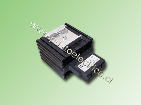 CALEFACTOR 30 WATT 110/220VAC MONTAJE A RIEL DIN - PE190100