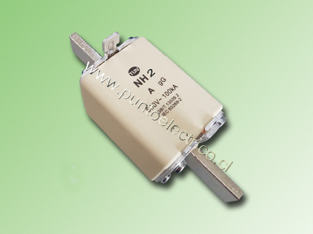 FUSIBLE  NH-2 300Amp. 500VAC CURVA gG/gL . PE160124