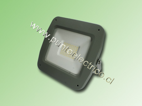 PROYECTOR TIPO LED  50W   PE220138