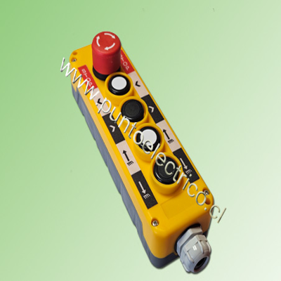 BOTONERA COLGANTE 5 POSICIONES.  PE170312